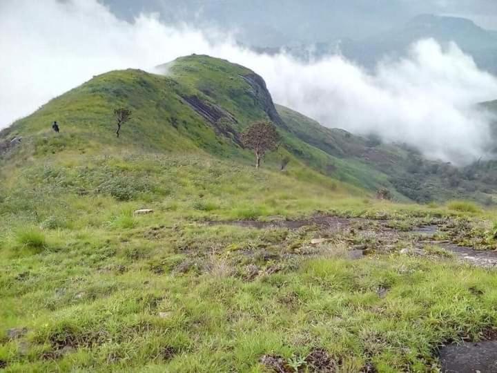 Jungle Retreat Natural Stay Kombaikadu Tamilnadu - Kodaikanal Exterior foto